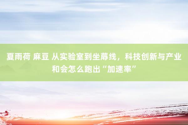 夏雨荷 麻豆 从实验室到坐蓐线，科技创新与产业和会怎么跑出“加速率”