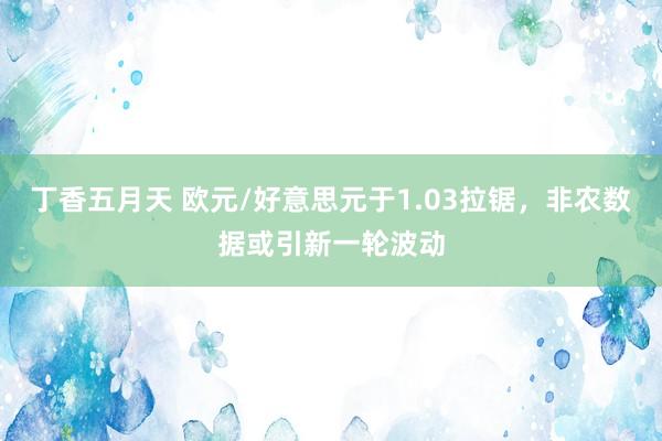 丁香五月天 欧元/好意思元于1.03拉锯，非农数据或引新一轮波动