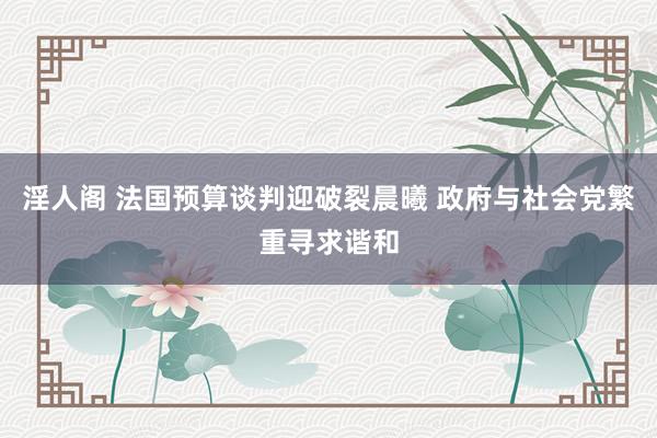 淫人阁 法国预算谈判迎破裂晨曦 政府与社会党繁重寻求谐和