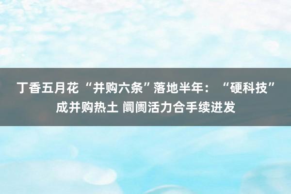 丁香五月花 “并购六条”落地半年： “硬科技”成并购热土 阛阓活力合手续迸发