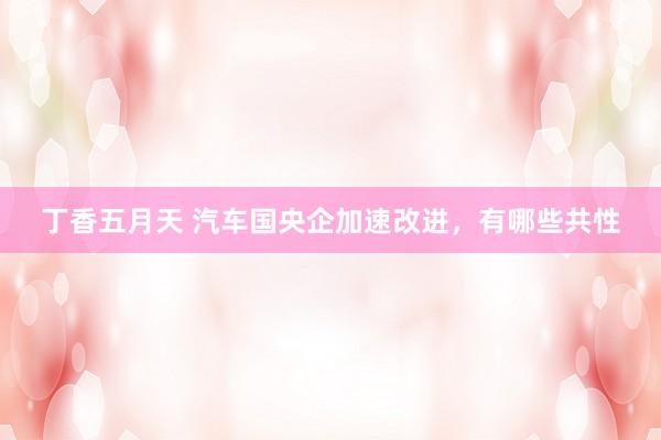 丁香五月天 汽车国央企加速改进，有哪些共性