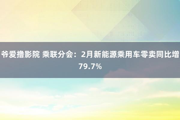 爷爱撸影院 乘联分会：2月新能源乘用车零卖同比增79.7%