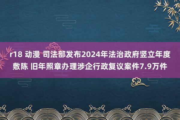 r18 动漫 司法部发布2024年法治政府竖立年度敷陈 旧年照章办理涉企行政复议案件7.9万件