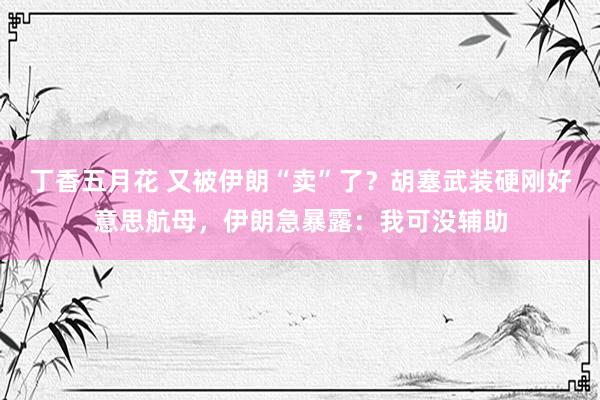 丁香五月花 又被伊朗“卖”了？胡塞武装硬刚好意思航母，伊朗急暴露：我可没辅助