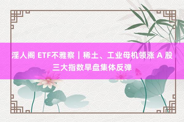 淫人阁 ETF不雅察｜稀土、工业母机领涨 A 股三大指数早盘集体反弹