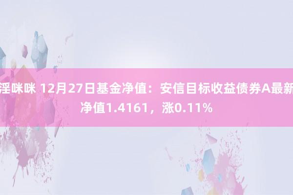 淫咪咪 12月27日基金净值：安信目标收益债券A最新净值1.4161，涨0.11%