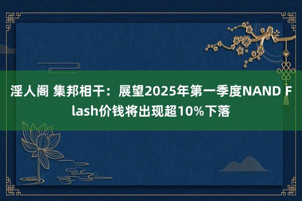 淫人阁 集邦相干：展望2025年第一季度NAND Flash价钱将出现超10%下落