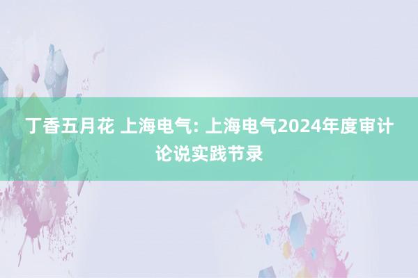 丁香五月花 上海电气: 上海电气2024年度审计论说实践节录