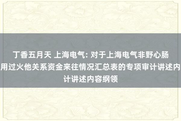 丁香五月天 上海电气: 对于上海电气非野心肠资金占用过火他关系资金来往情况汇总表的专项审计讲述内容纲领