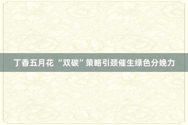 丁香五月花 “双碳”策略引颈催生绿色分娩力