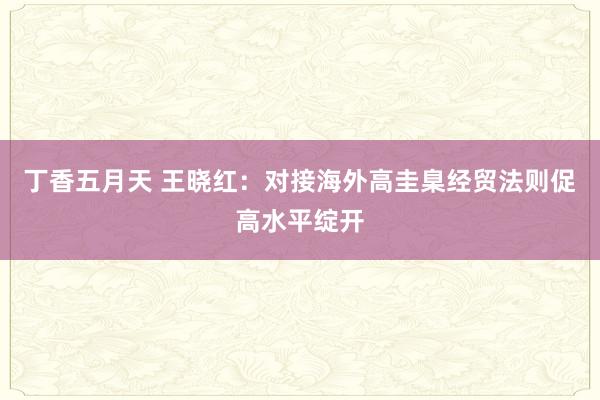 丁香五月天 王晓红：对接海外高圭臬经贸法则促高水平绽开
