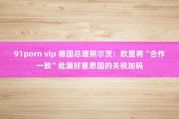91porn vip 德国总理朔尔茨：欧盟将“合作一致”纰漏好意思国的关税加码