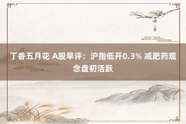 丁香五月花 A股早评：沪指低开0.3% 减肥药观念盘初活跃