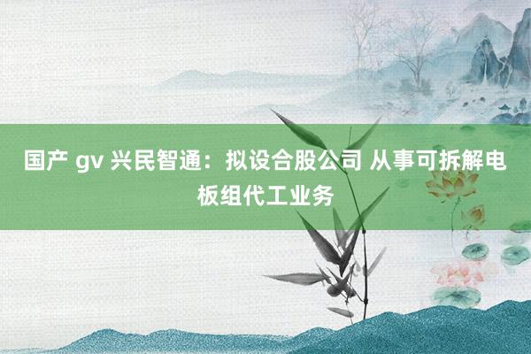 国产 gv 兴民智通：拟设合股公司 从事可拆解电板组代工业务