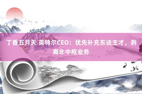 丁香五月天 英特尔CEO：优先补充东谈主才，剥离非中枢业务