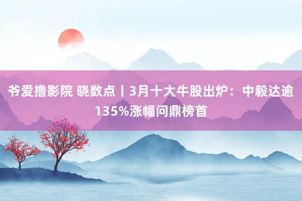 爷爱撸影院 晓数点丨3月十大牛股出炉：中毅达逾135%涨幅问鼎榜首