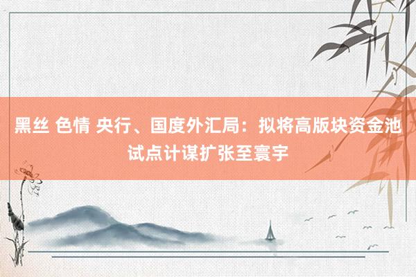 黑丝 色情 央行、国度外汇局：拟将高版块资金池试点计谋扩张至寰宇
