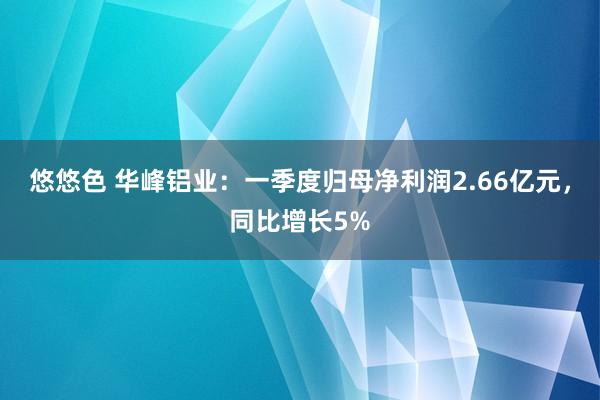 悠悠色 华峰铝业：一季度归母净利润2.66亿元，同比增长5%