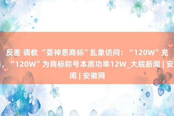 反差 调教 “耍神思商标”乱象访问：“120W”充电器，“120W”为商标称号本质功率12W_大皖新闻 | 安徽网