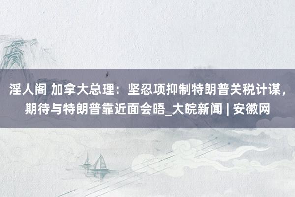 淫人阁 加拿大总理：坚忍项抑制特朗普关税计谋，期待与特朗普靠近面会晤_大皖新闻 | 安徽网