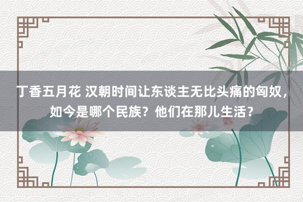 丁香五月花 汉朝时间让东谈主无比头痛的匈奴，如今是哪个民族？他们在那儿生活？