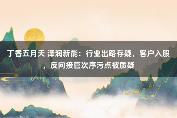 丁香五月天 泽润新能：行业出路存疑，客户入股，反向接管次序污点被质疑