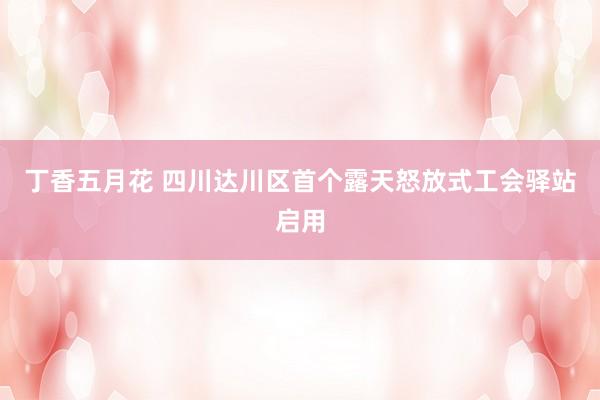 丁香五月花 四川达川区首个露天怒放式工会驿站启用